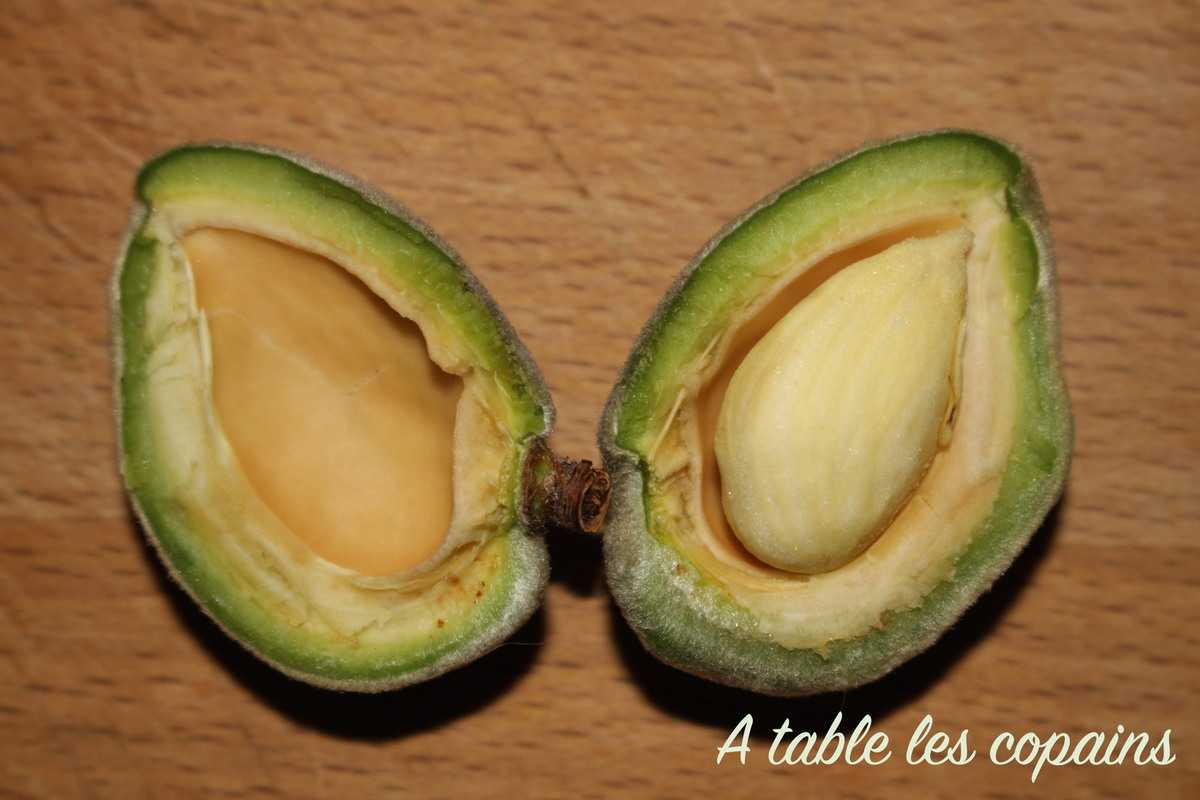 Le sirop d'orgeat
